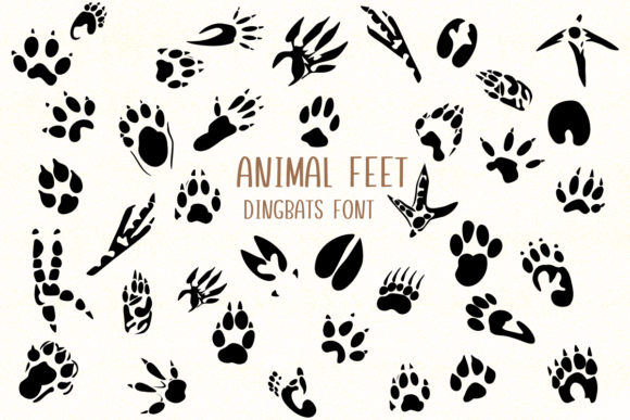 Animal Feet: A Playful Typeface for Nature-Inspired Design